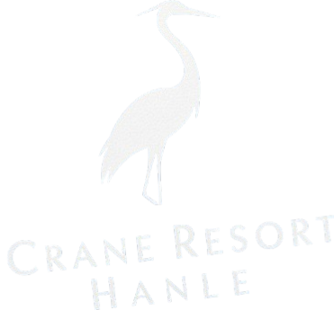 1000104145 removebg preview